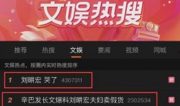 辛巴爆料刘耕宏视频