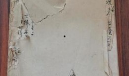 德阳沙拉店爆料案件最新,揭开食品安全背后的惊人真相