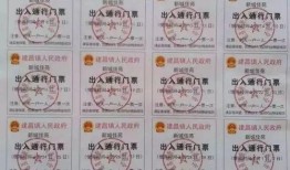 新城最新爆料消息今天疫情,疫情动态实时更新，揭秘疫情背后的真相！”