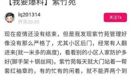新城最新爆料消息今天疫情,疫情动态实时更新，揭秘疫情背后的真相！”