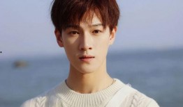 郑伟爆料视频播放大全集,事件始末与背后真相